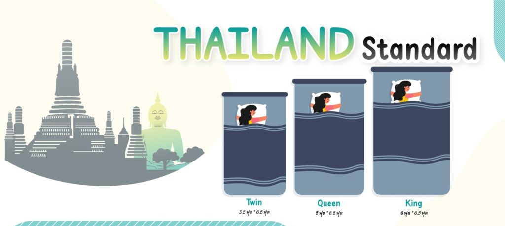05-thailand-standard-1024x459
