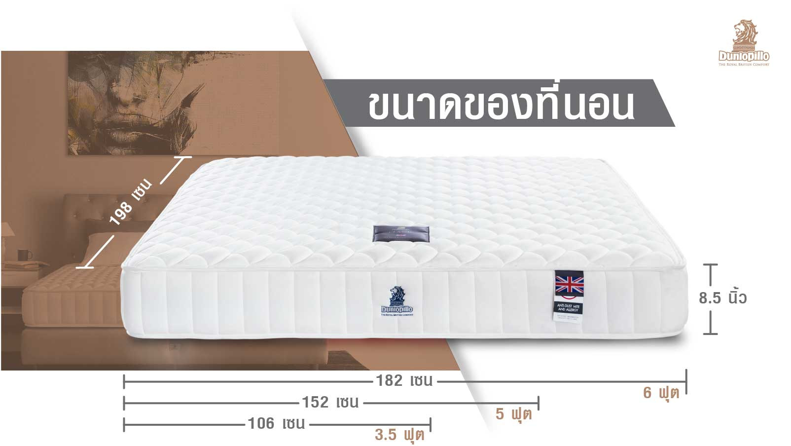 ที่นอน Dunlopillo รุ่น Classic Dunlopillo ประเทศไทย