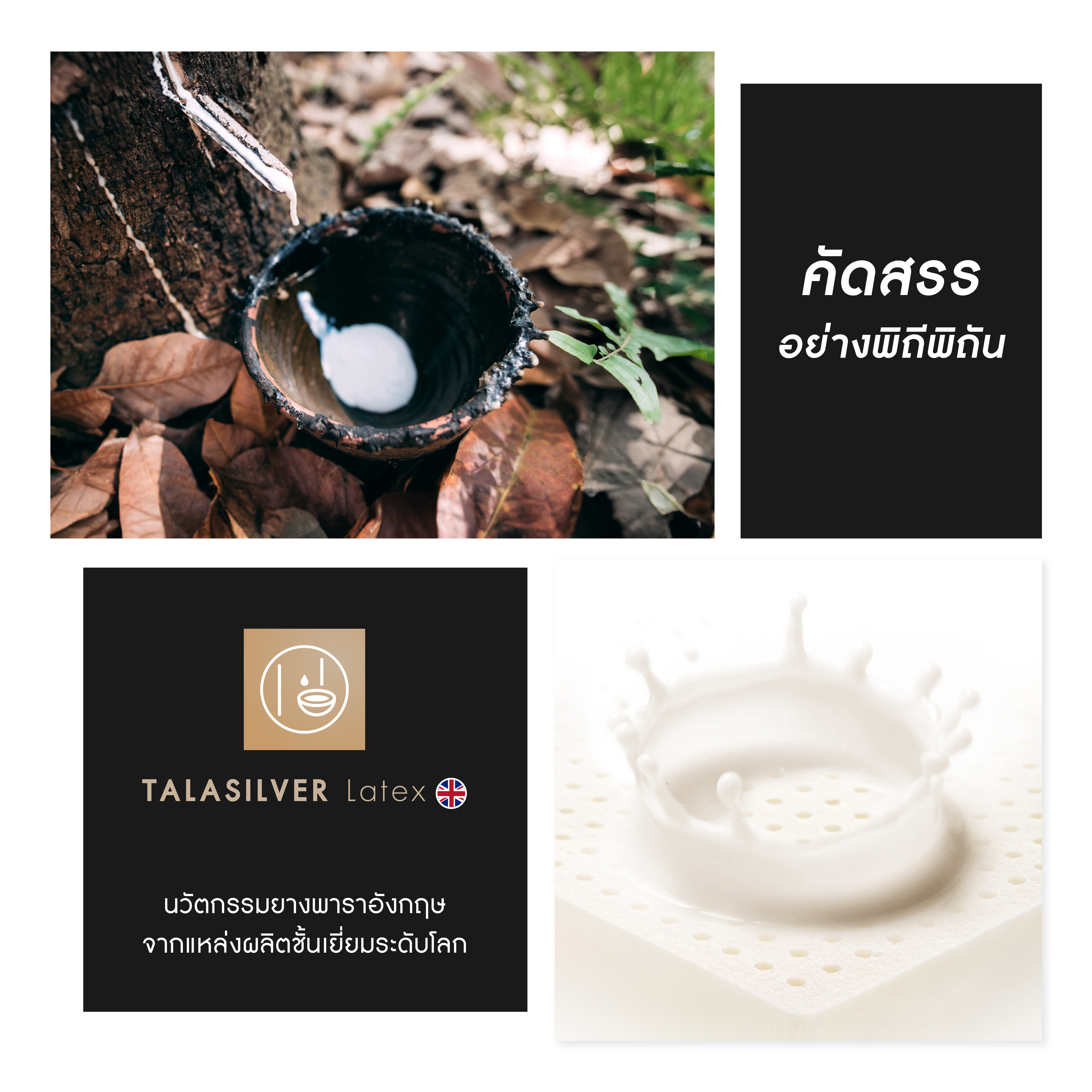 talasilver-info-09