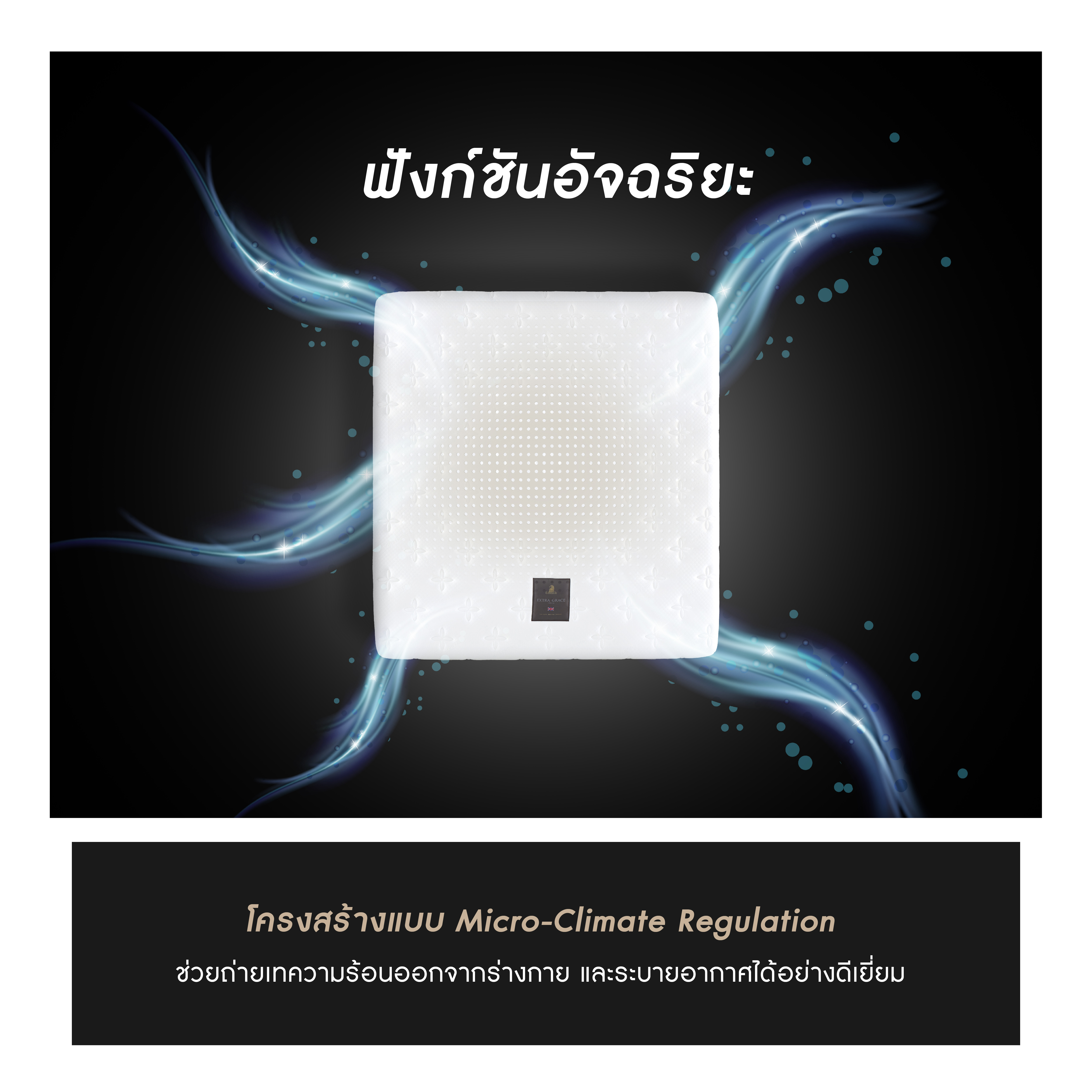 talasilver-info-15