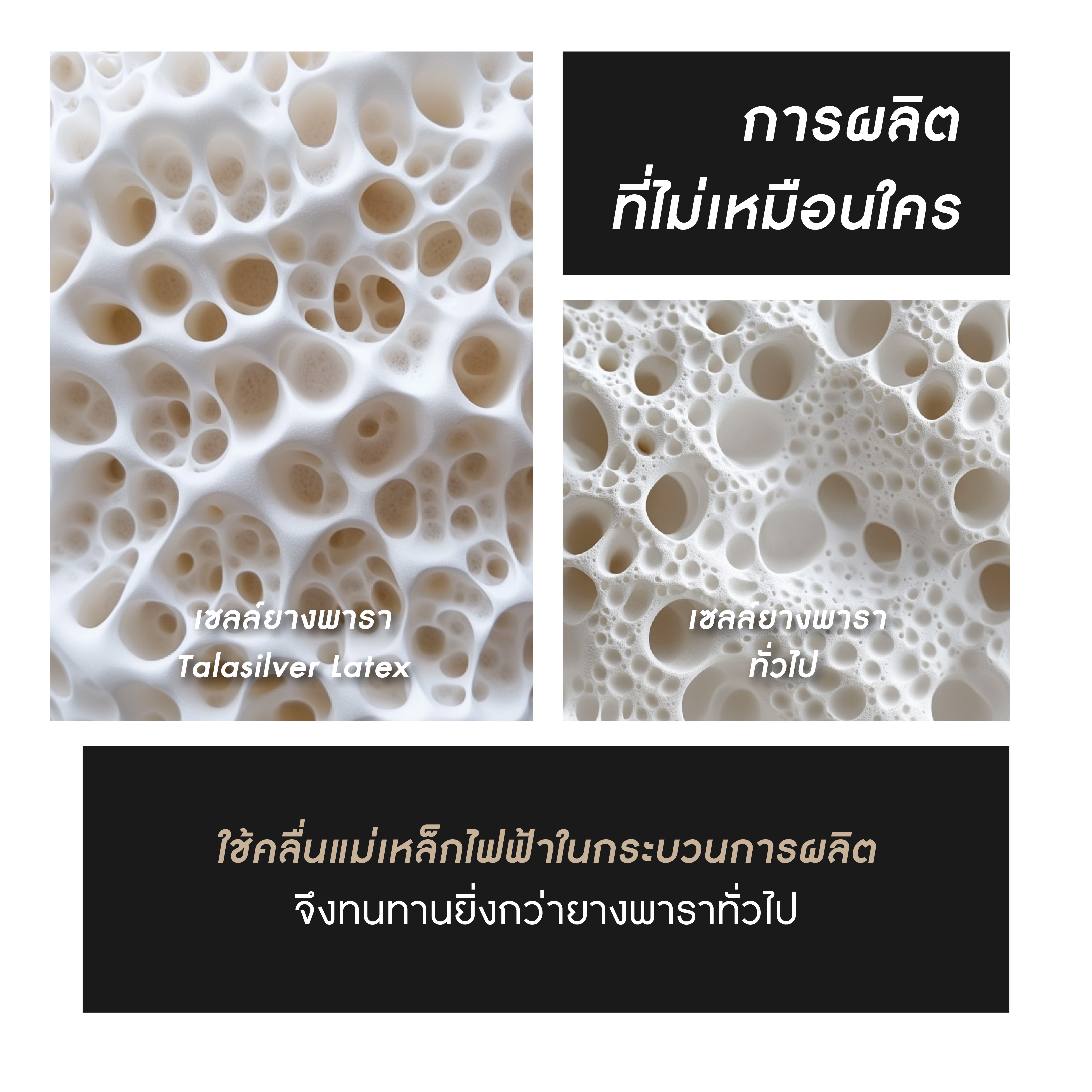 talasilver-info-12