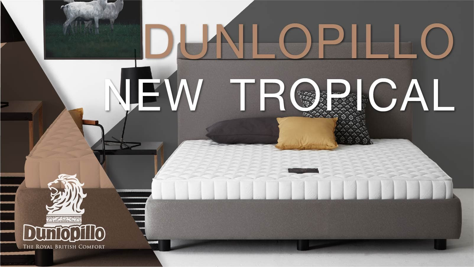 new-tropical-04